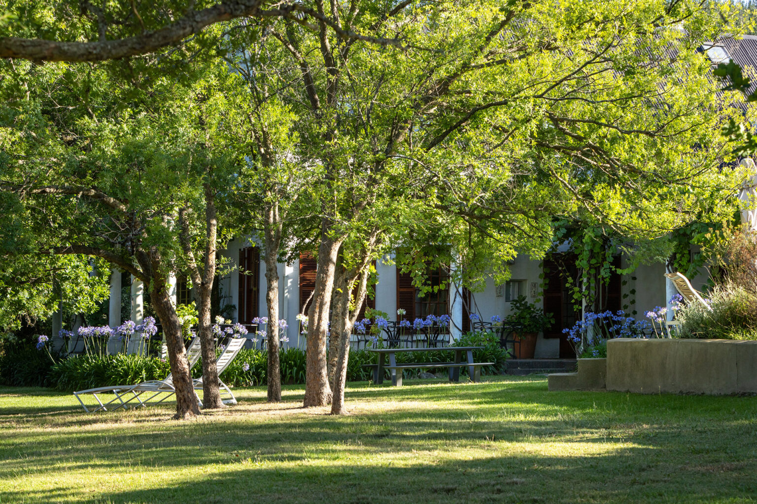 Home - Rozendal Farm